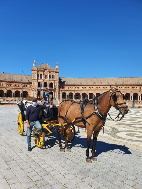 RECORRIDOS EN FAMILIA