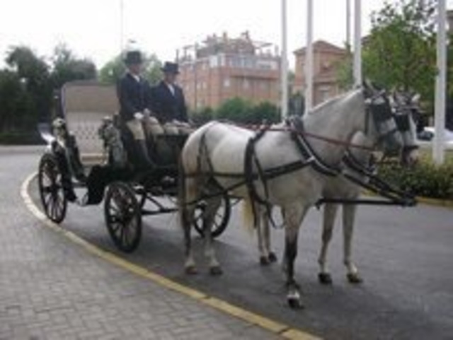 PASEOS SEMANA SANTA