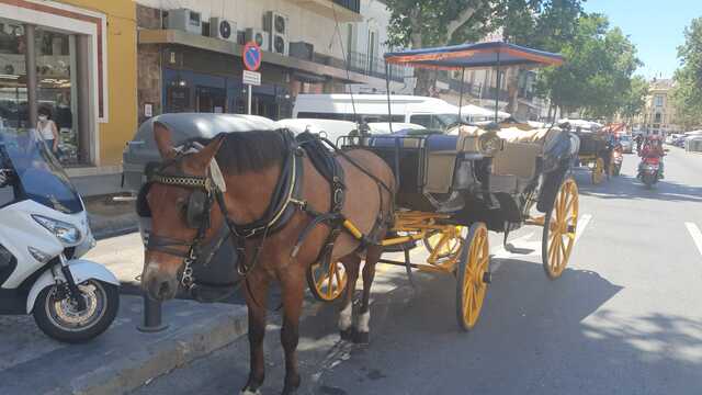 PASEOS SEVILLA