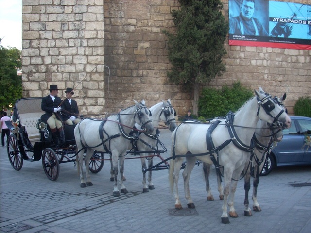 SEVILLA EN COCHE DE CABALLOS